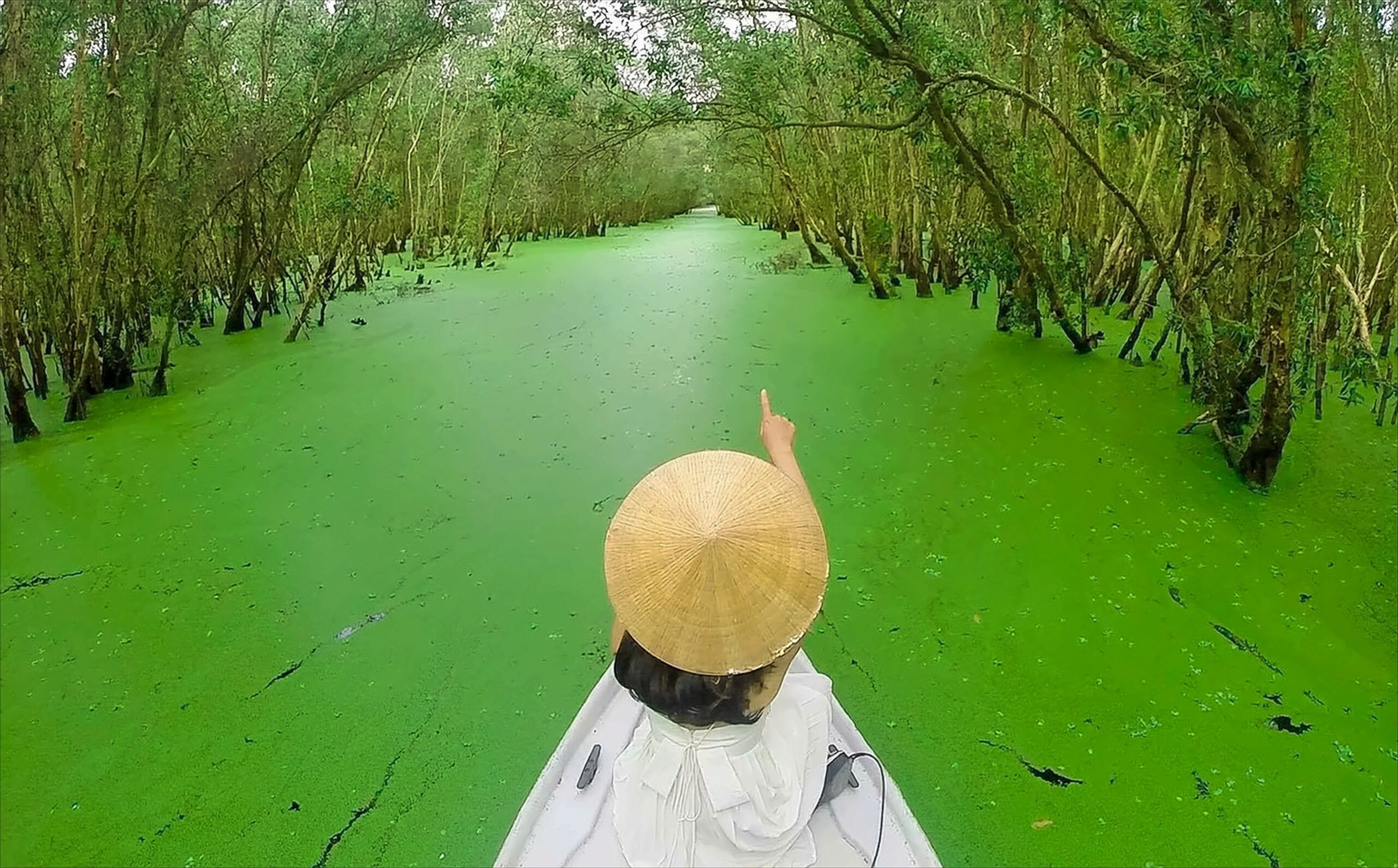 7 Essential Attractions to Visit in the Mekong Delta 7 Essential Attractions to Visit in the Mekong Delta