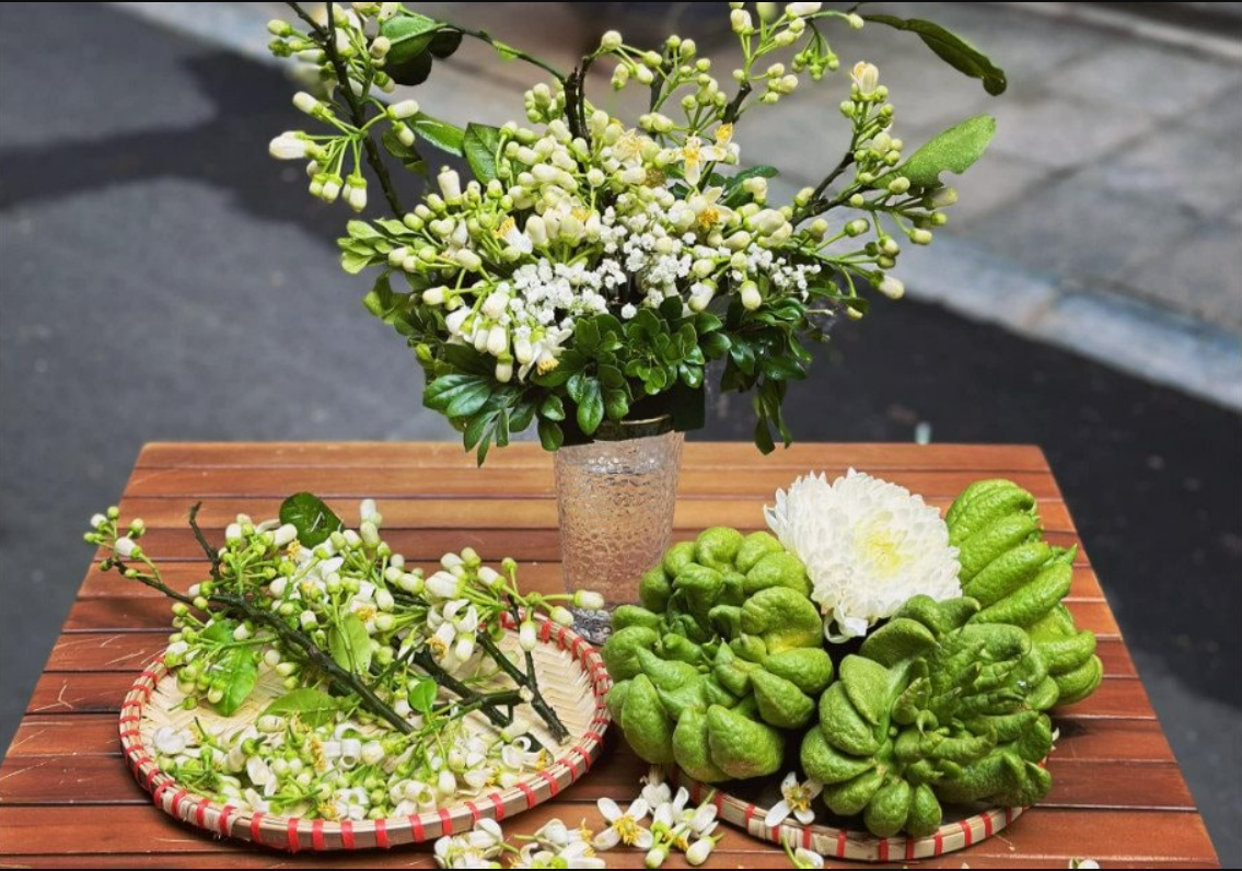 Hanoi when spring blossoms. Hanoi when spring blossoms.