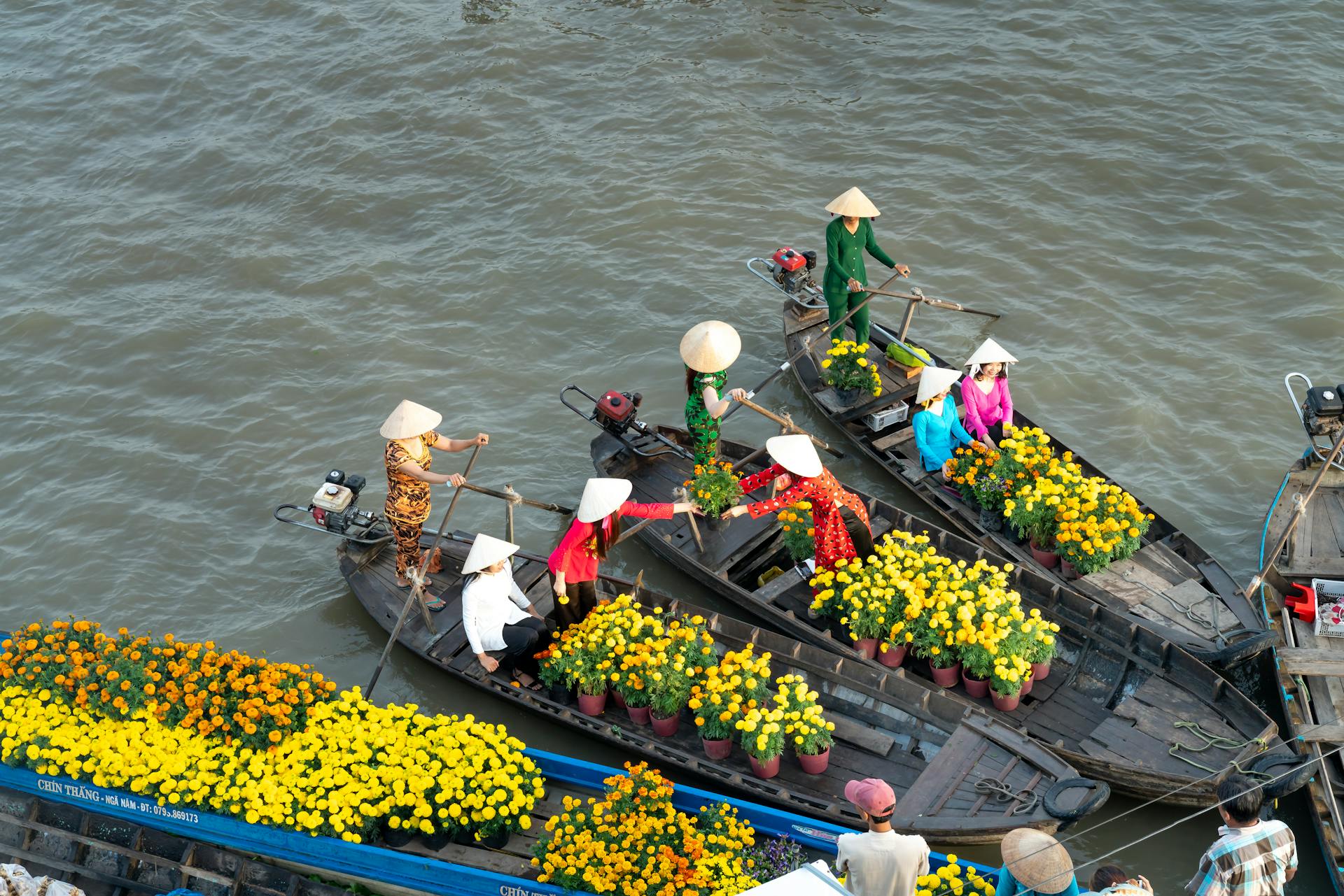 Mekong Delta Travel Guide 2026