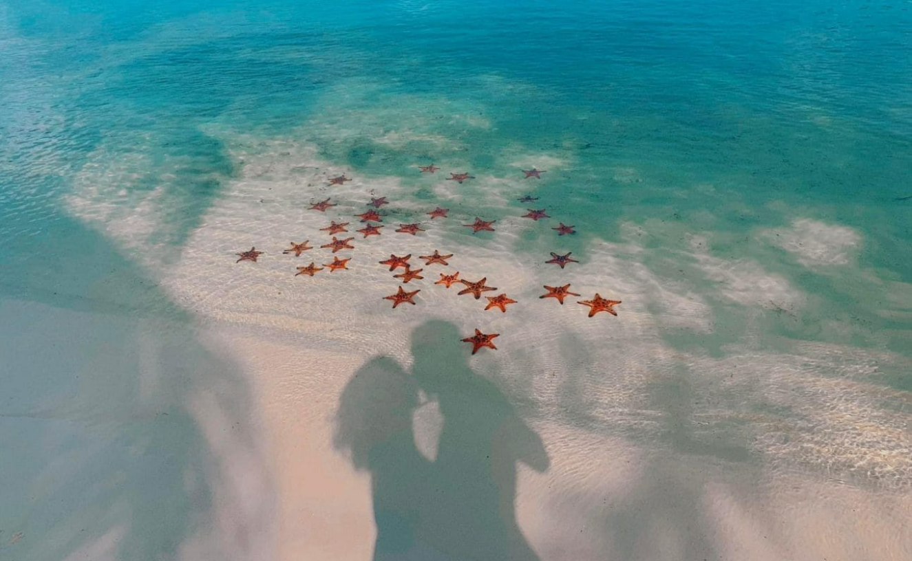 Mui Ham Rong Cape, Phu Quoc – A Complete Travel Guide to the Kingdom of Starfish. Mui Ham Rong Cape, Phu Quoc – A Complete Travel Guide to the Kingdom of Starfish.