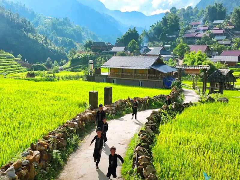 Best Time to Visit Sapa, Vietnam in 2026: Weather, Seasons & Travel Tips