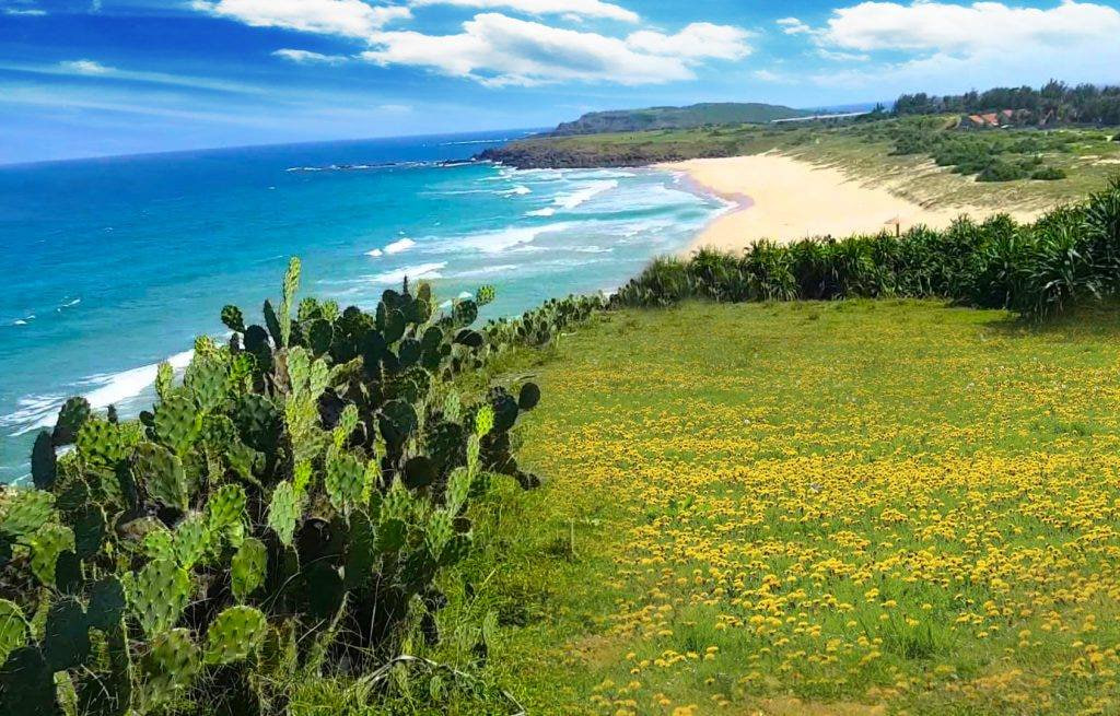 Phu Yen, Vietnam Travel Guide 2026: Discover Vietnam’s Hidden Coastal Paradise