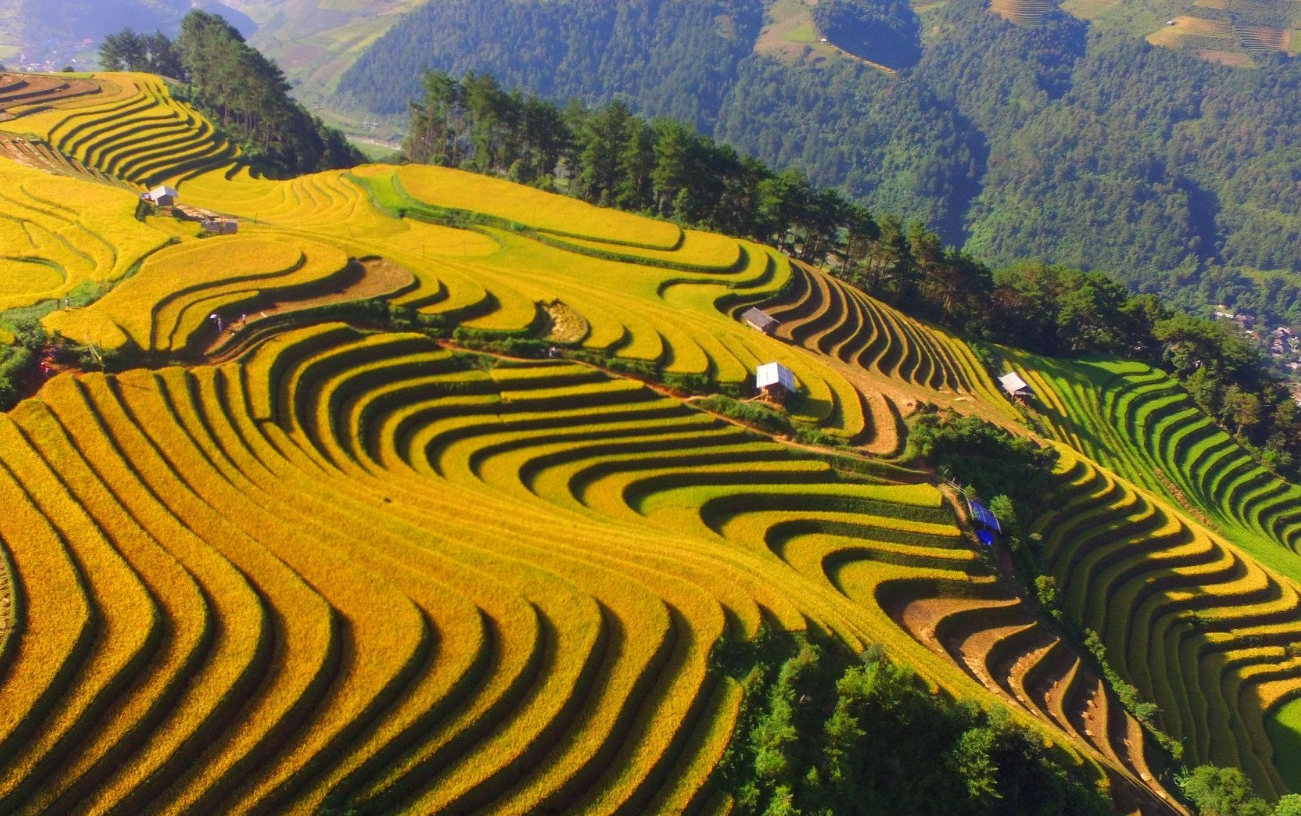 Discover the Vibrant Mông Culture in Điện Biên.
